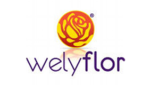 Welyflor